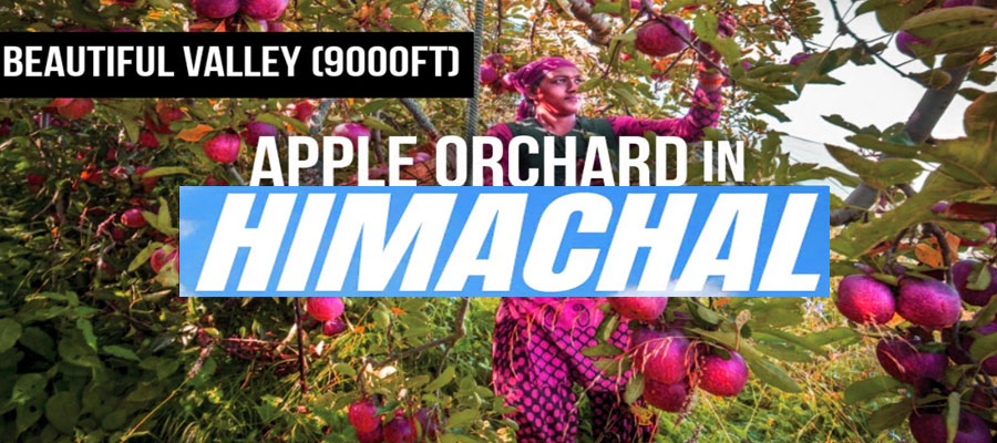 5-star-resorts-in-haridwar-offering-the-best-ganga-views