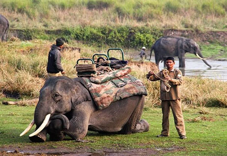 Infinity Pool Experience