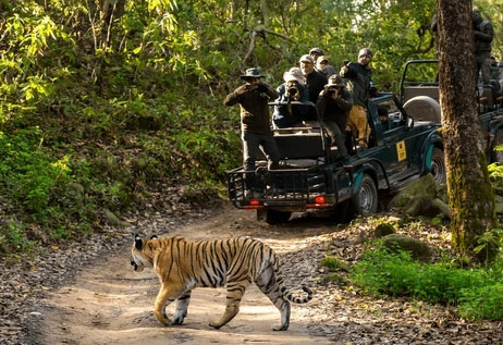Beachfront Hotel Stay