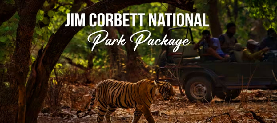 AI Hotels Group - Best Tour Packages in Jim Corbett