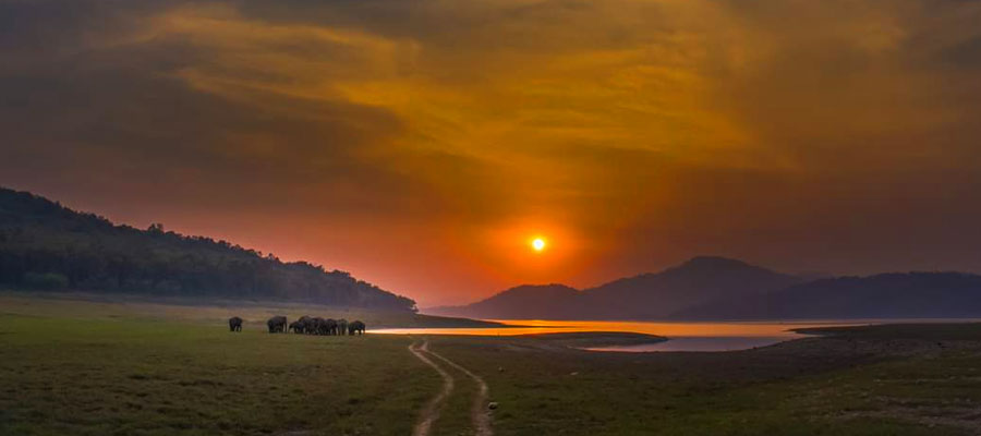 From Sunrise to Sunset: A Day Inside Jim Corbett National Park