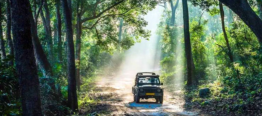 Best Jeep Safari Zones in Jim Corbett National Park