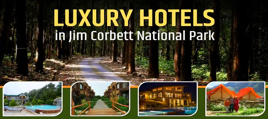 Best Luxury Hotels in Jim Corbett for a Perfect Stay