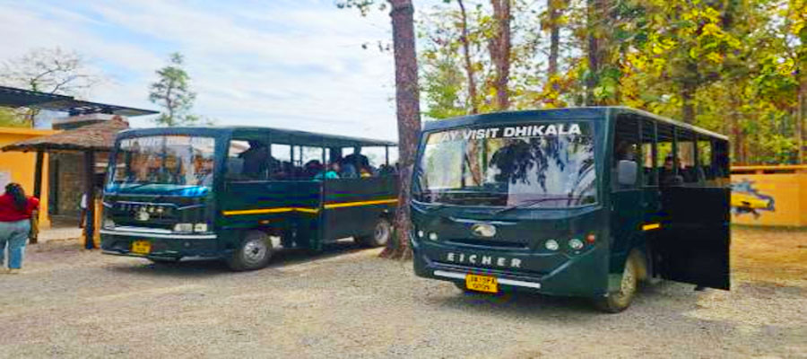 Canter Safari in Corbett - Everything You Need to Know