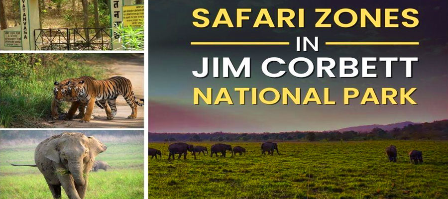 Complete Zone-Wise Guide to Jim Corbett National Park