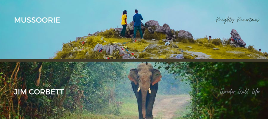 Corbett to Mussoorie: Nature & Hills Tour