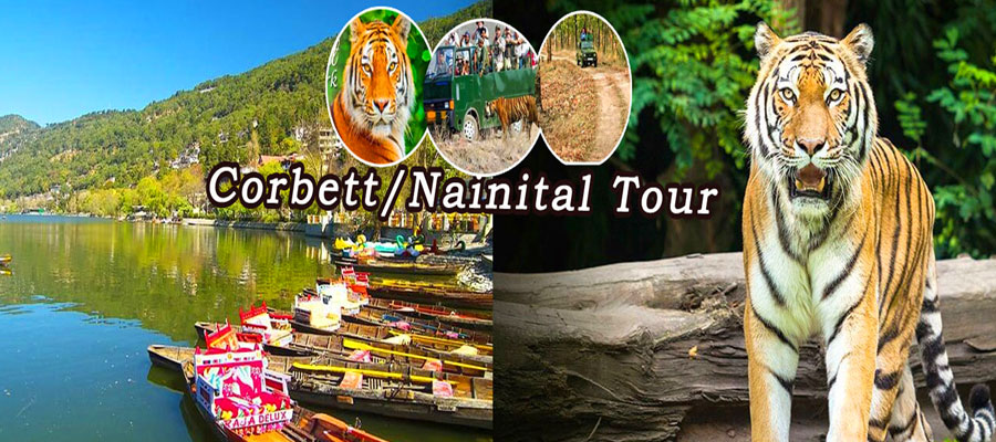 Corbett to Nainital: Perfect Twin Destination Tour