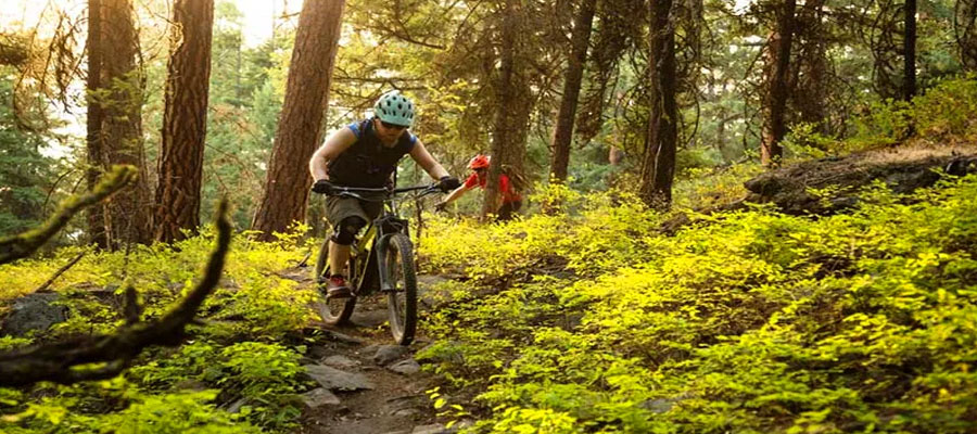 Cycling Tours in Jim Corbett Explore at Your Own Pace