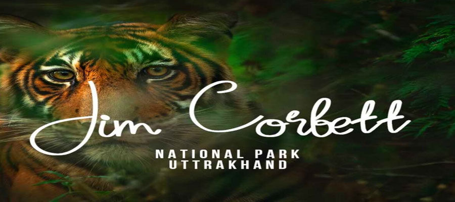 Day Trips from Jim Corbett: Best Short Tours
