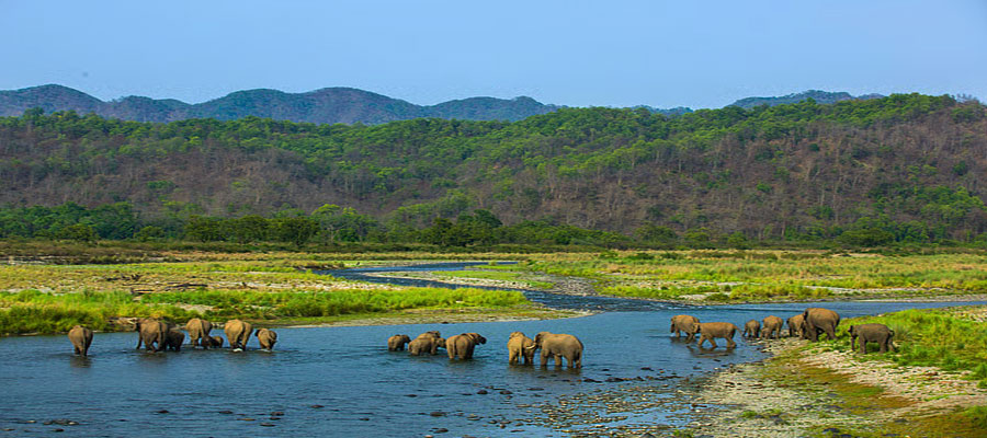 Exploring the Ramganga River: Lifeline of Jim Corbett