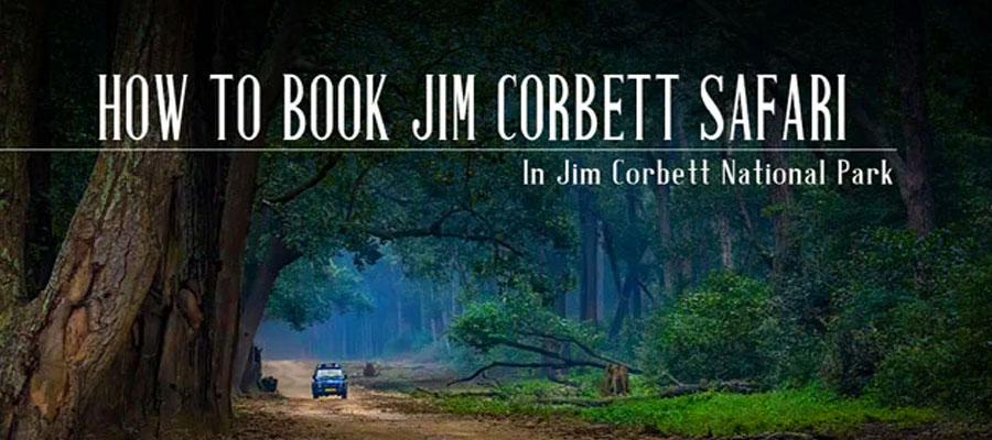 How to Book a Safari in Jim Corbett: Step-by-Step Guide