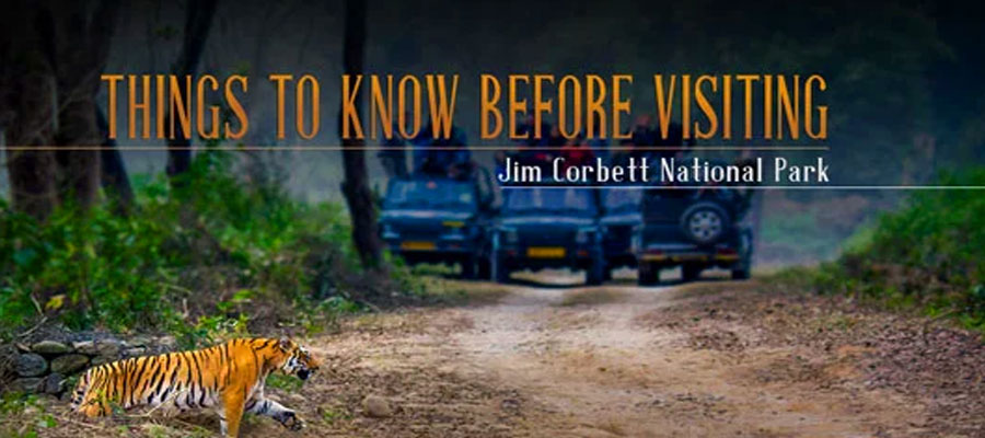 Jim Corbett National Park FAQs for First-Time Visitors