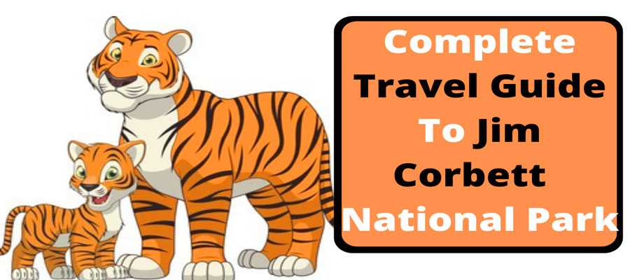 Jim Corbett Travel Cost Guide: Budget vs Luxury Trips