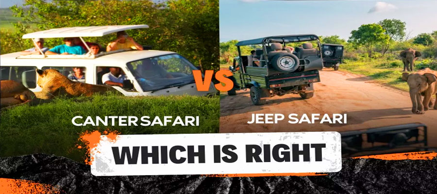 Jungle Safari vs Canter Safari: Which is Best in Corbett