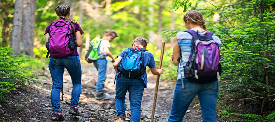 Jungle Walks: Explore the Wilderness on Foot