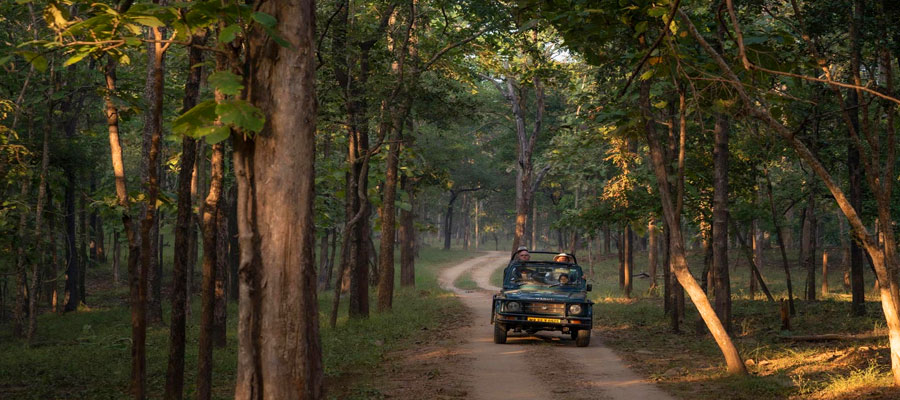 Perfect Itinerary for a 3-Day Trip to Jim Corbett