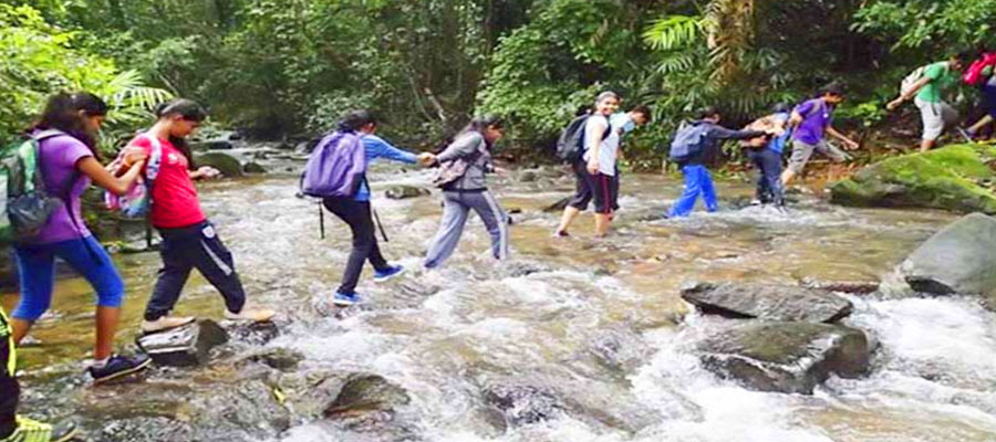 Riverside Morning Walks in Jim Corbett National Park