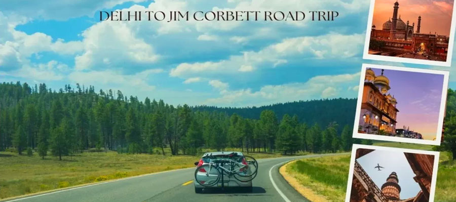 Road Trip Guide from Delhi to Jim Corbett
