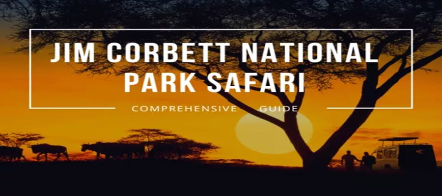 Safari Safety Tips You Should Always Follow