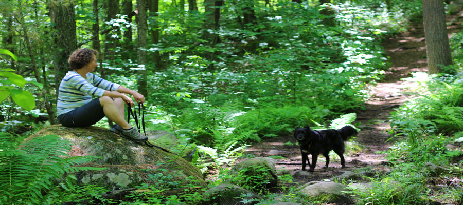 The Healing Power of Forest Therapy in Jim Corbett