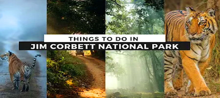 Things to Do in Jim Corbett Besides Safari