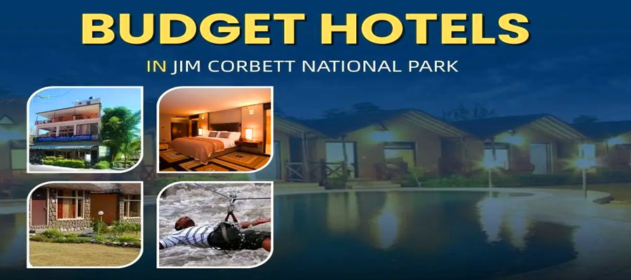 Top Budget-Friendly Hotels Near Jim Corbett National Park