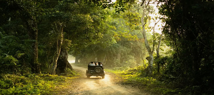 Weekend Getaway from Delhi: Jim Corbett National Park