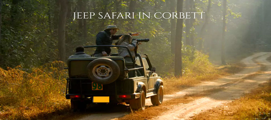 Why Jeep Safari is the Heart of Jim Corbett Experience
