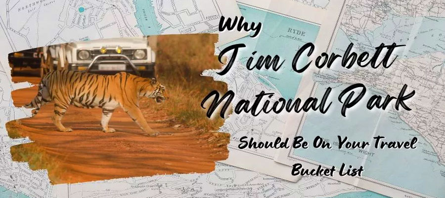 Why Jim Corbett Should Be on Every Traveler's Bucket List