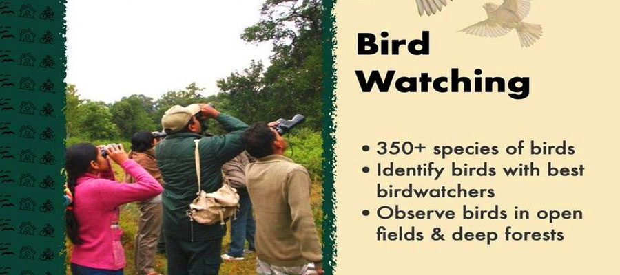 birdwatching-in-nainital-a-guide