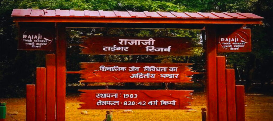 exploring-rajaji-national-park-from-rishikes