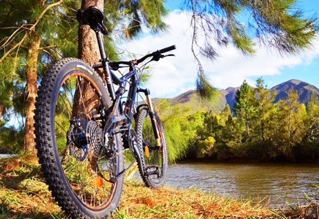 Infinity Pool Experience