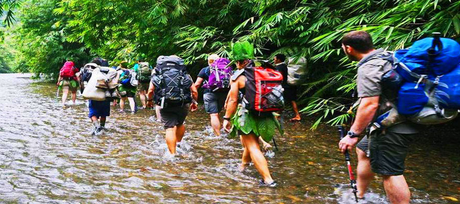 nature-walks-and-forest-trails-around-rishikesh